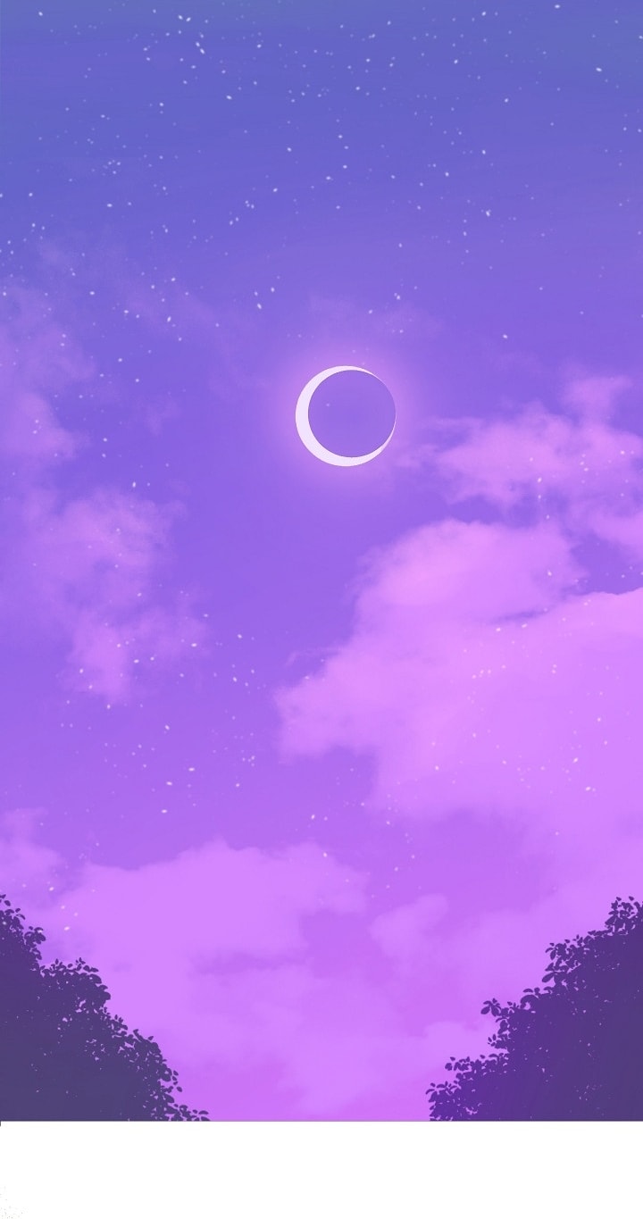 الصفحة 61