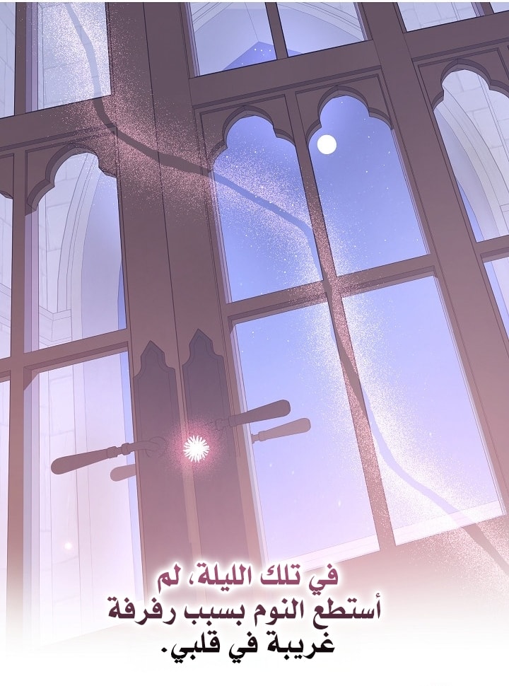 الصفحة 64