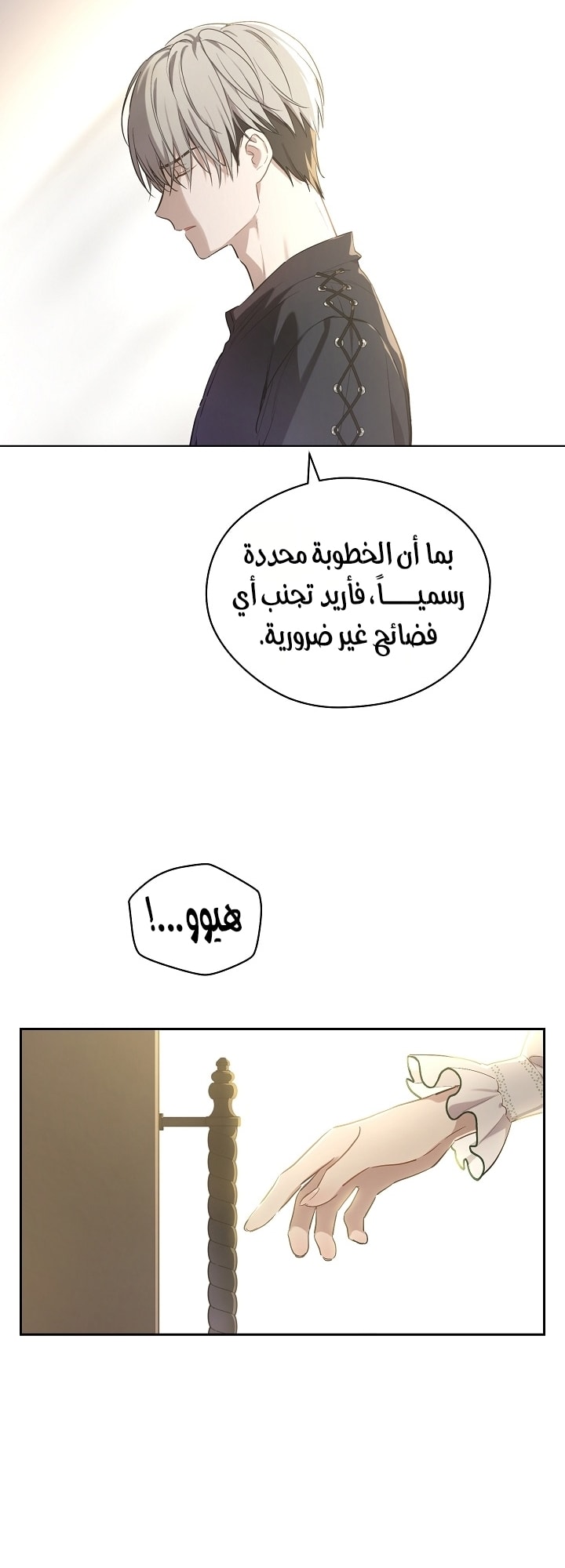 الصفحة 11