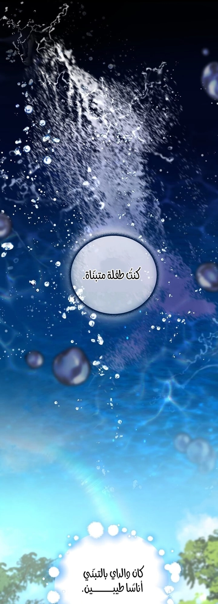 الصفحة 17