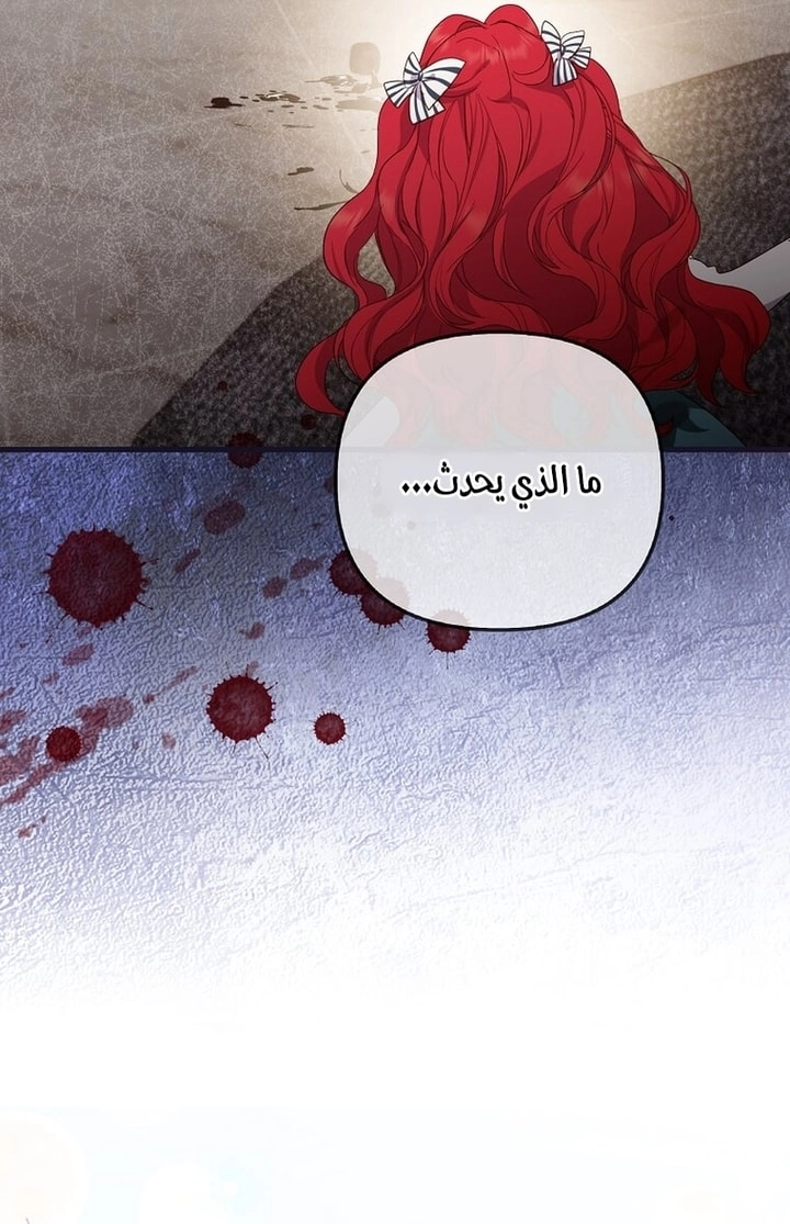 الصفحة 42