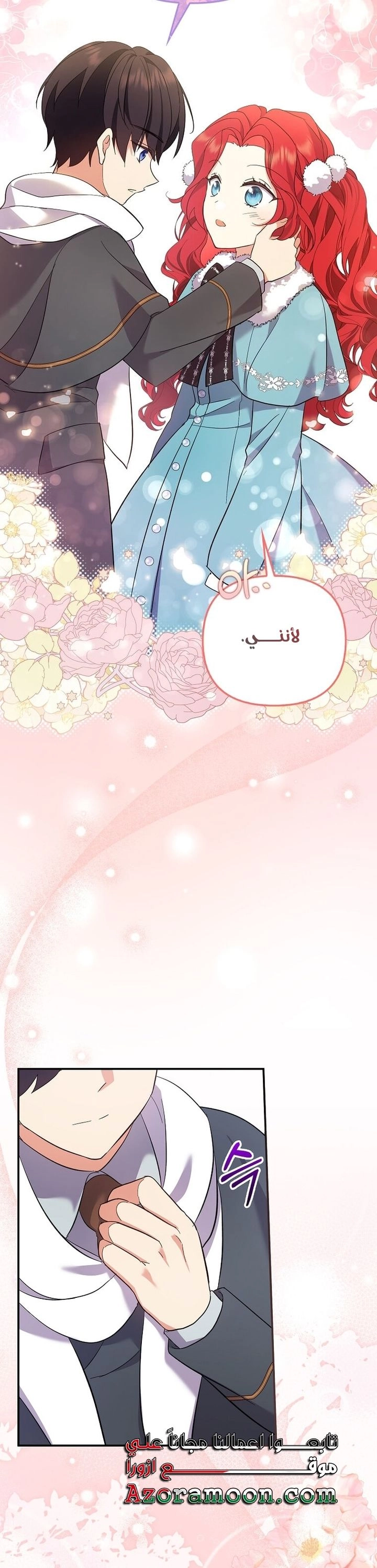 الصفحة 17