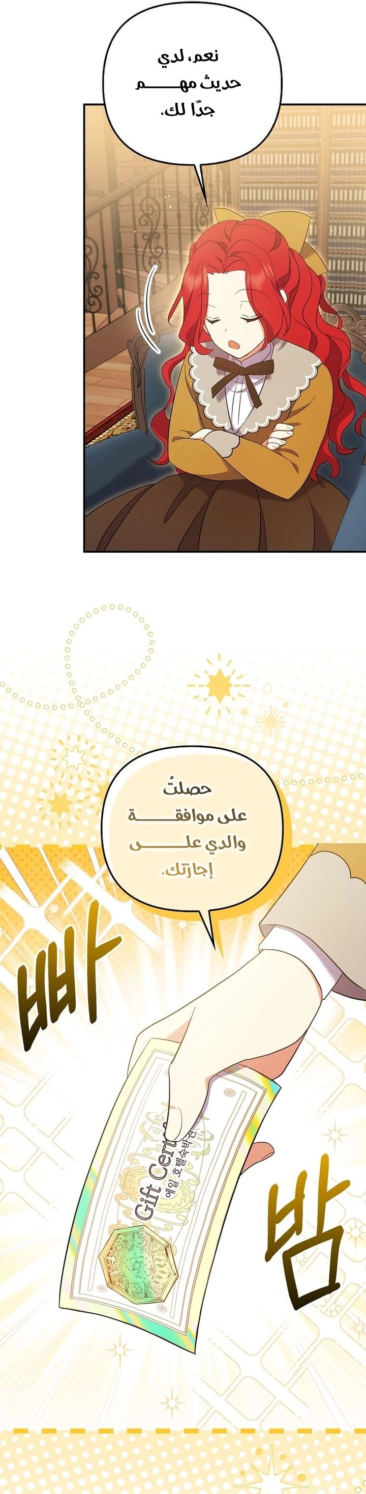 الصفحة 27