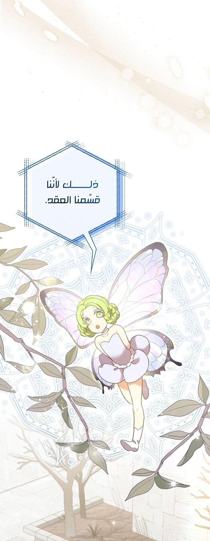 الصفحة 14