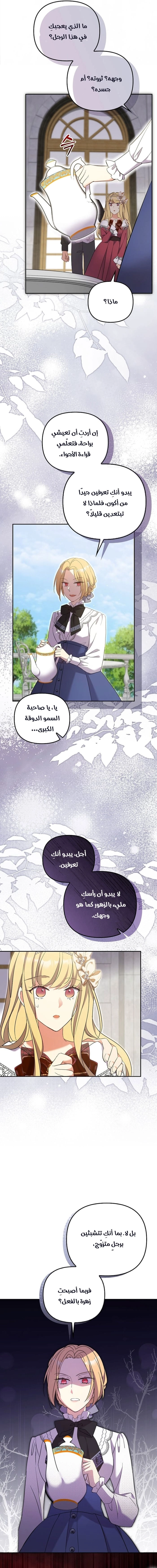 الصفحة 3