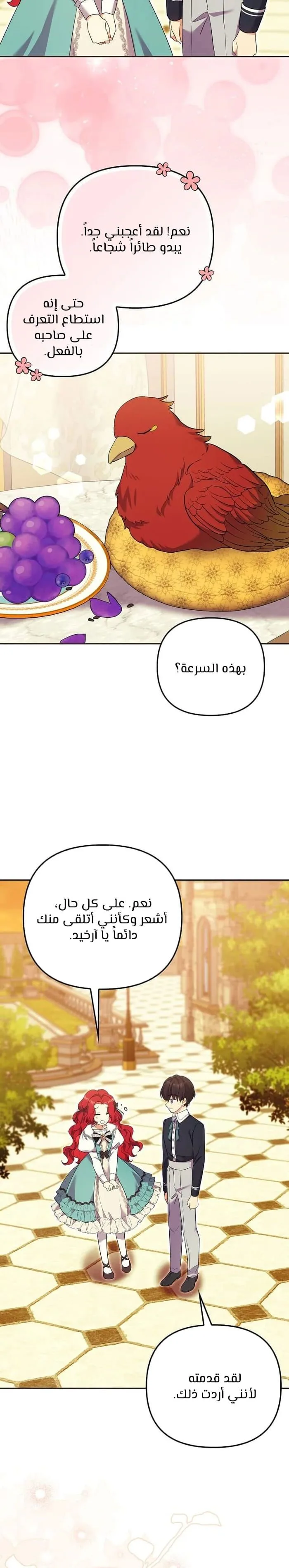 الصفحة 10