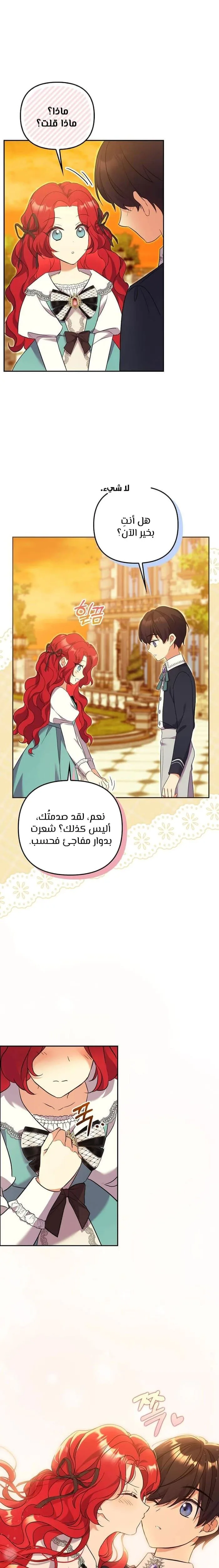 الصفحة 17