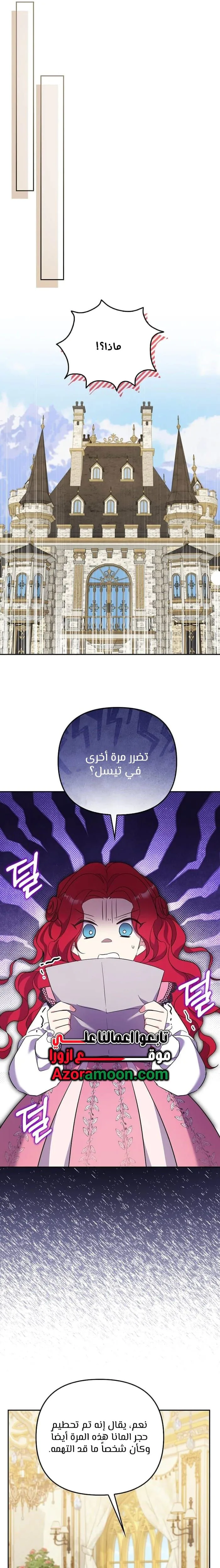 الصفحة 21