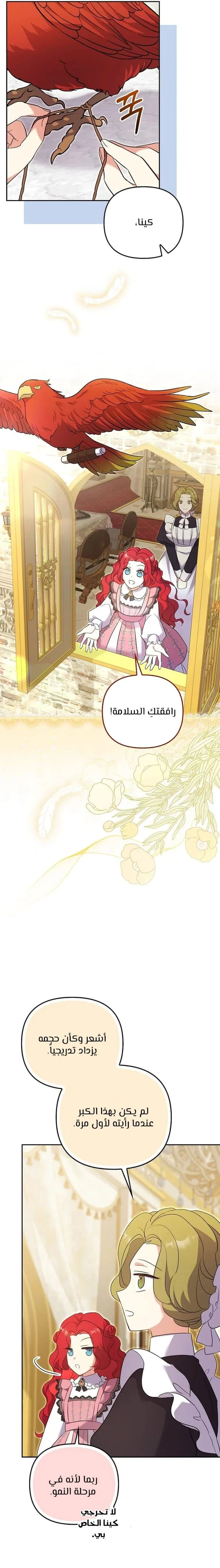 الصفحة 25