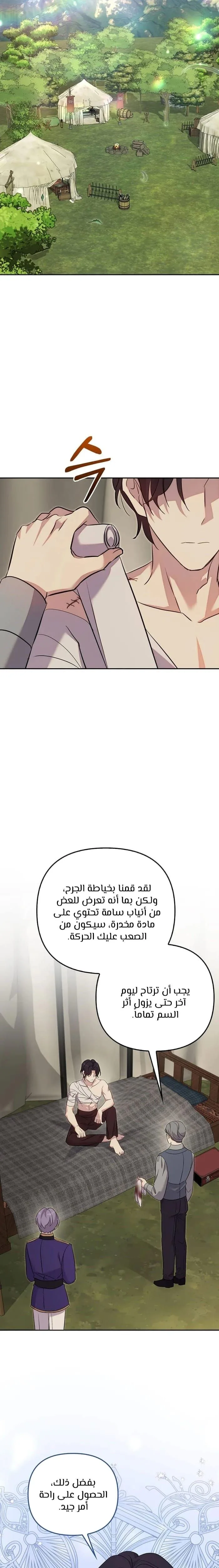 الصفحة 13