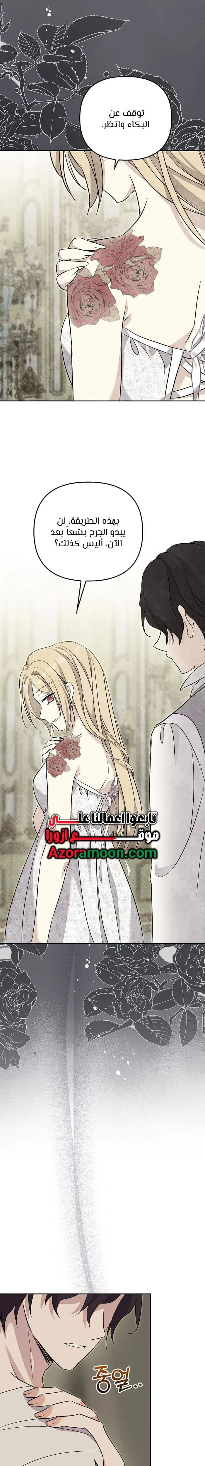 الصفحة 25