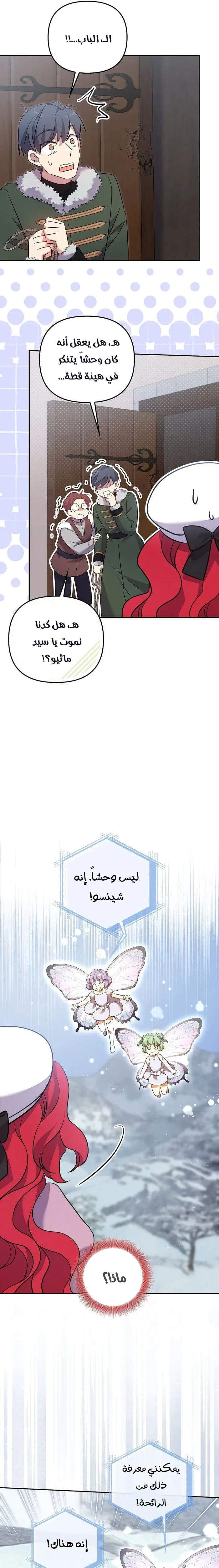 الصفحة 11