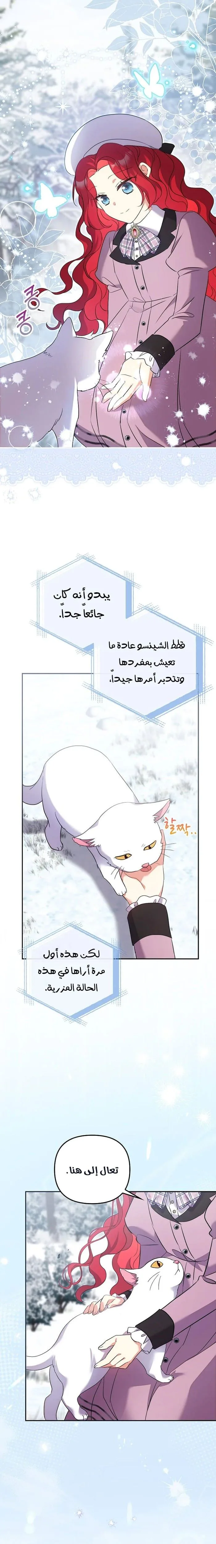 الصفحة 19