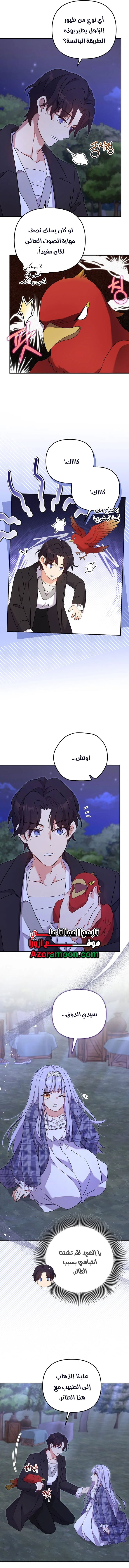 الصفحة 11