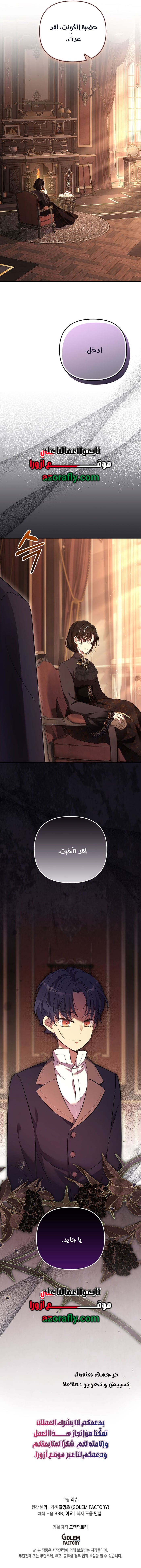الصفحة 13