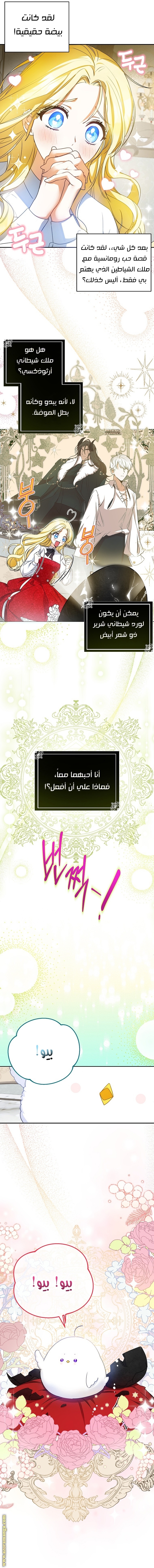 الصفحة 21