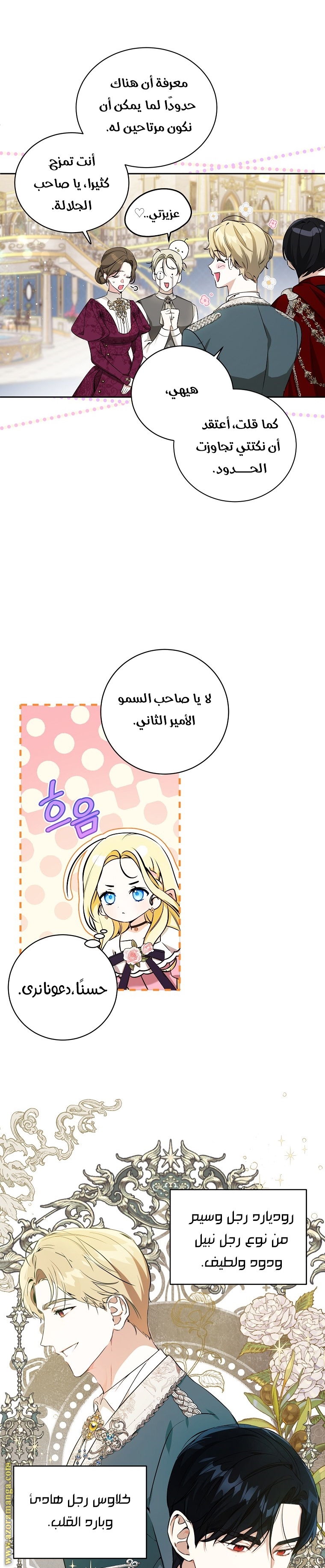 الصفحة 17