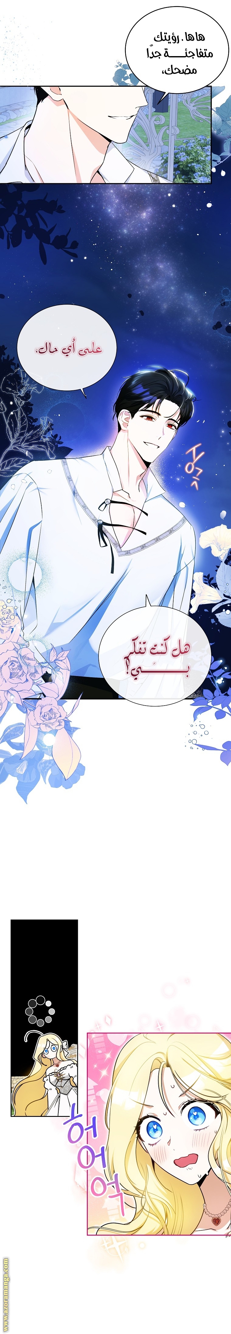 الصفحة 17