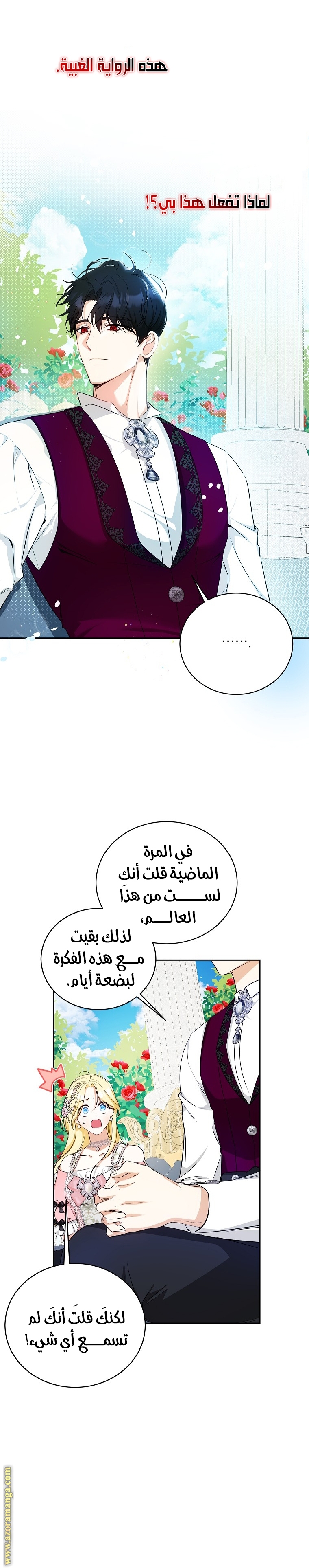 الصفحة 17