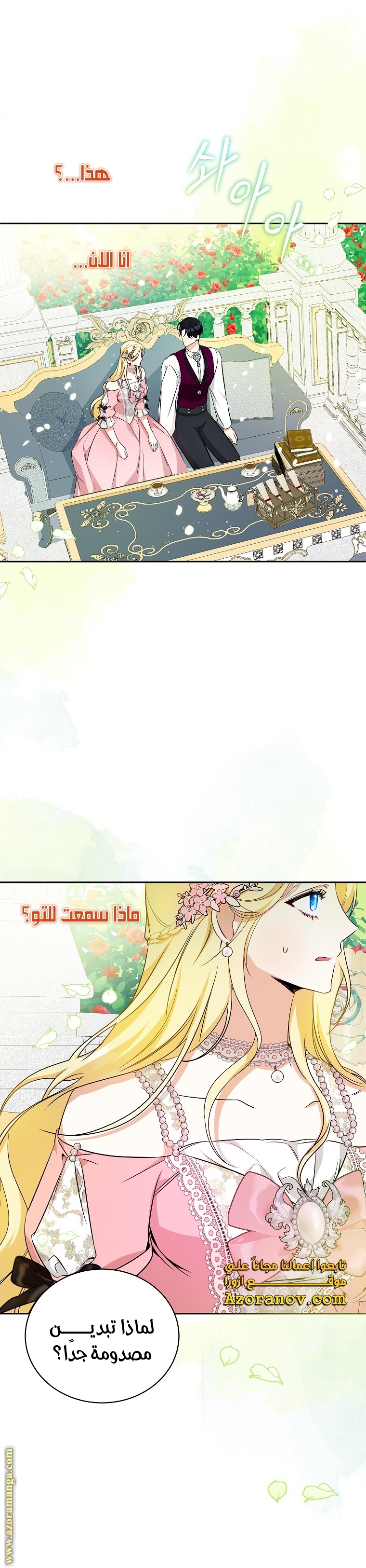 الصفحة 21
