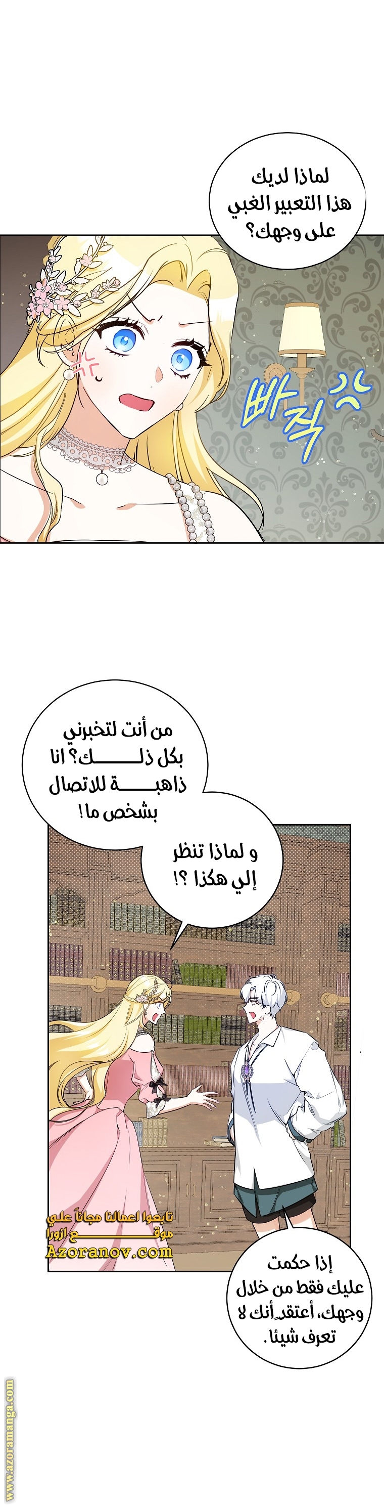 الصفحة 29