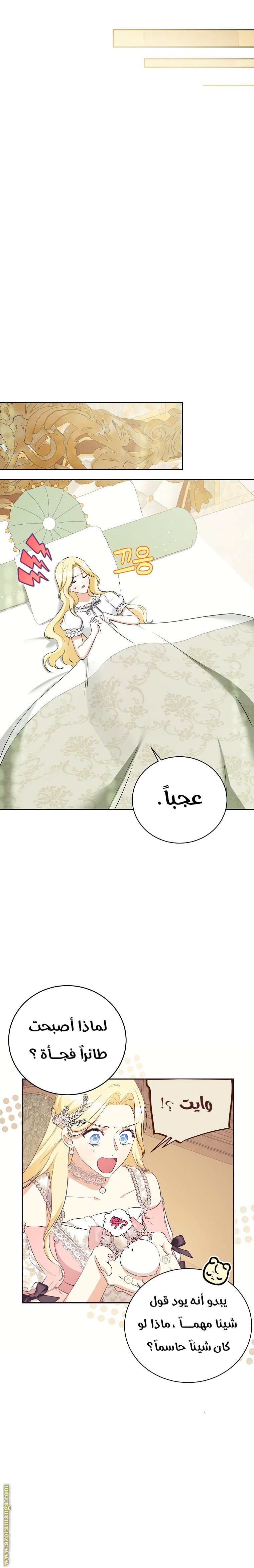 الصفحة 17