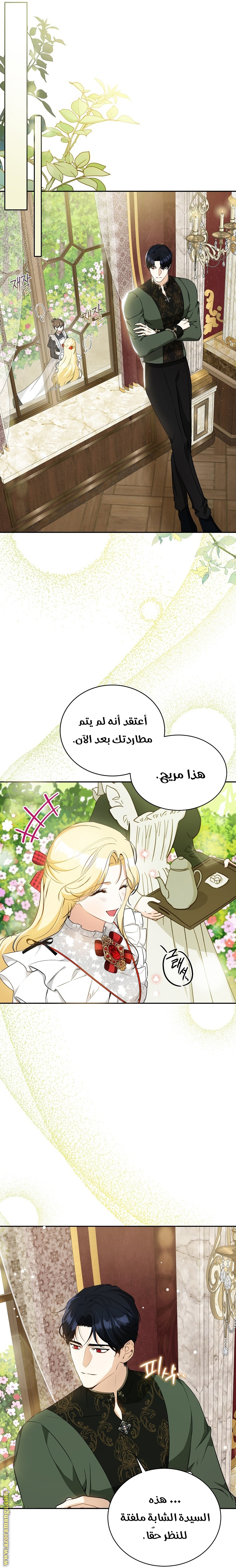 الصفحة 24