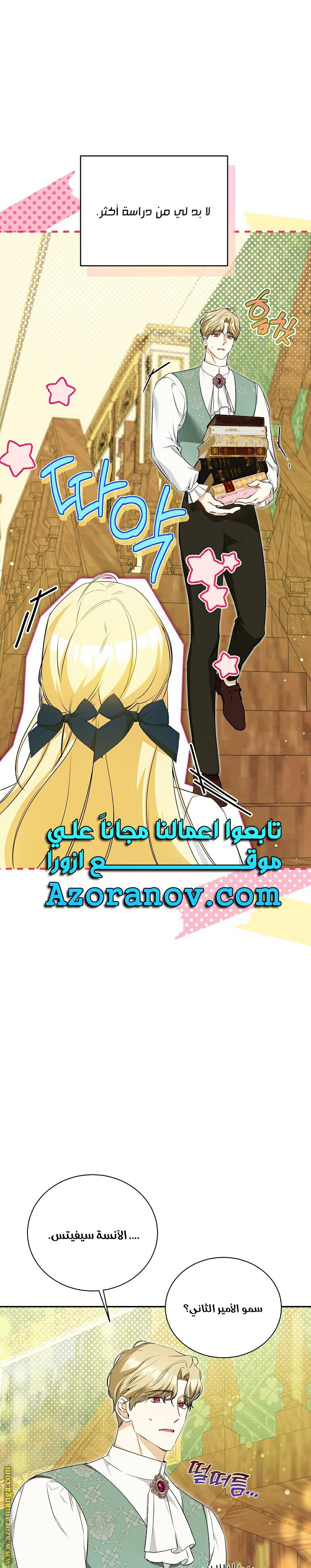 الصفحة 17