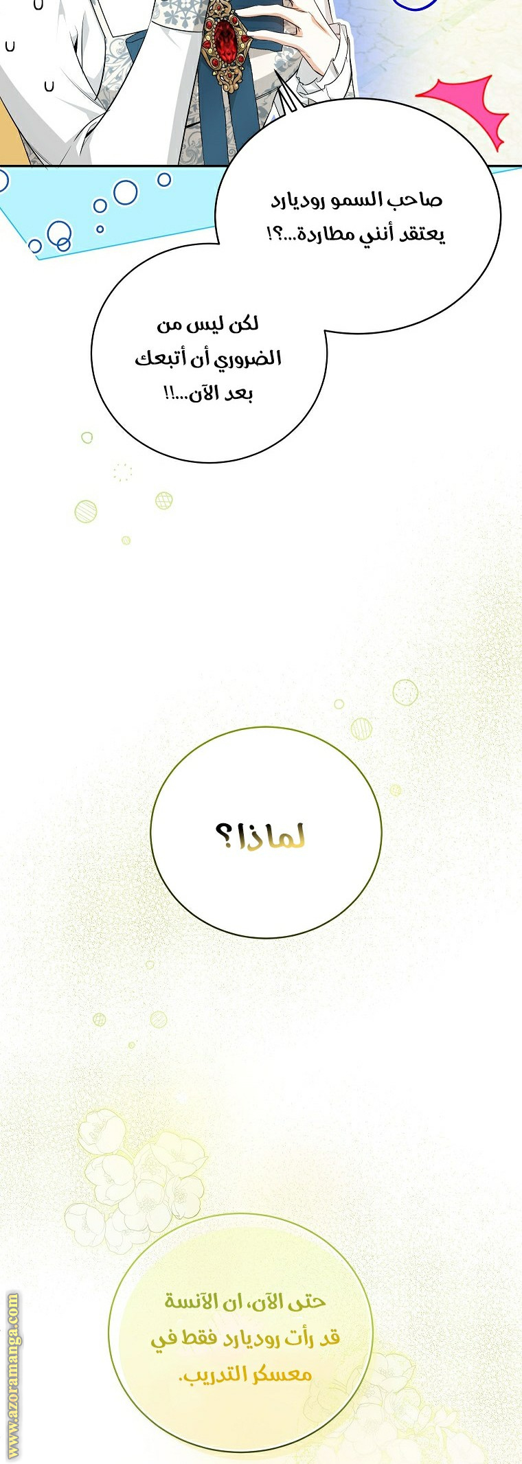 الصفحة 30