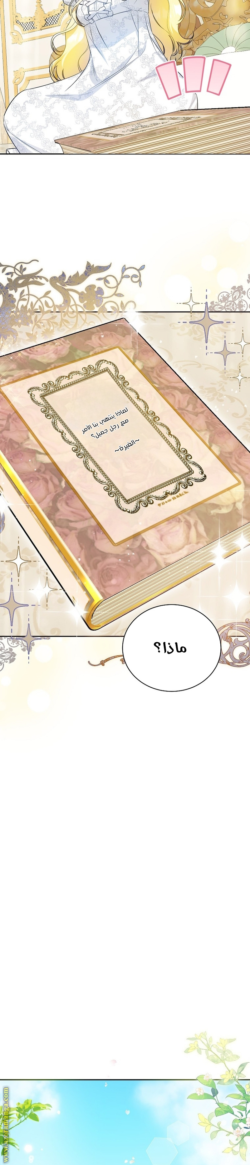 الصفحة 17