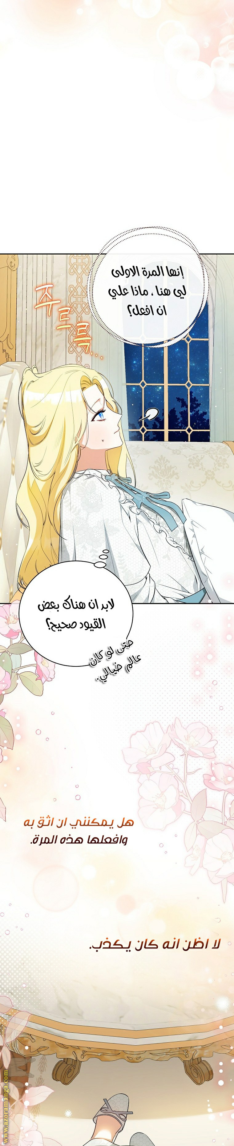 الصفحة 17