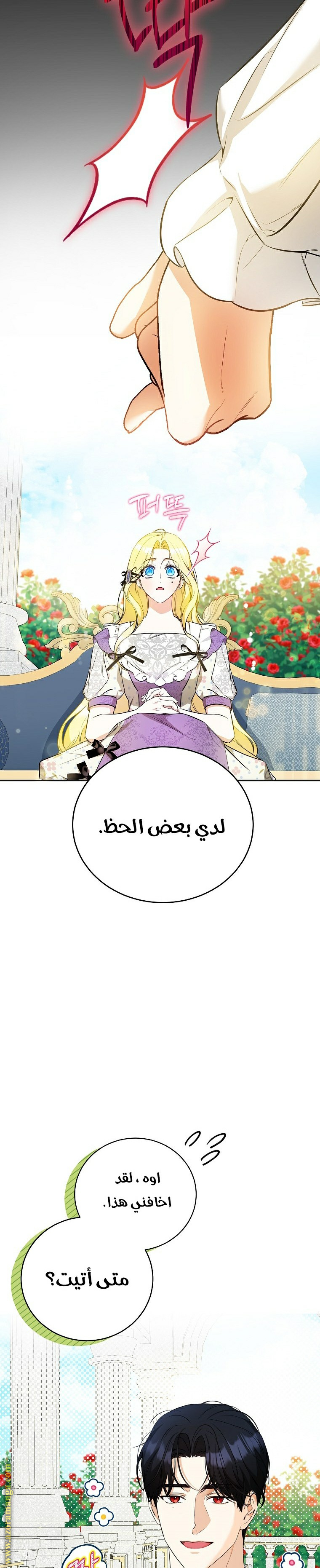 الصفحة 19