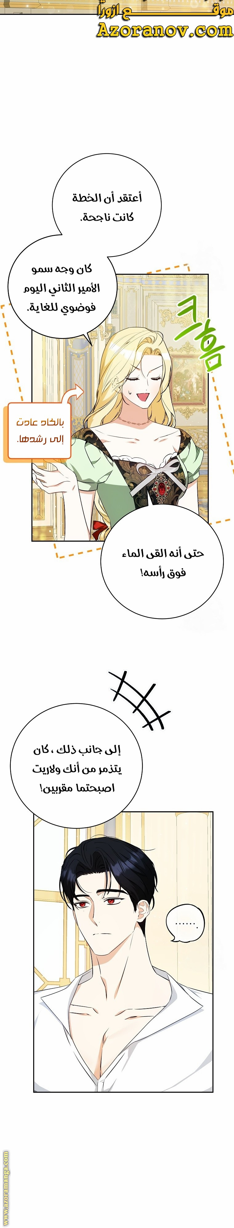 الصفحة 17