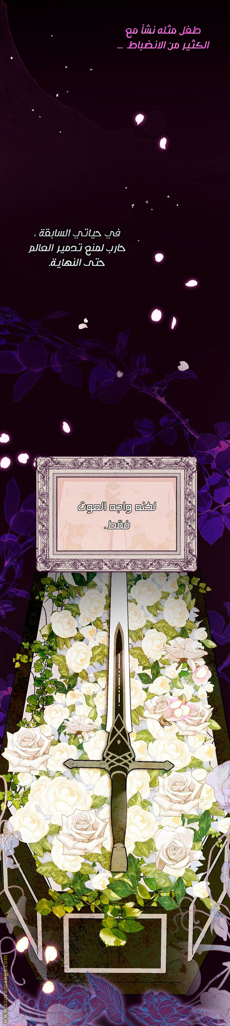 الصفحة 21