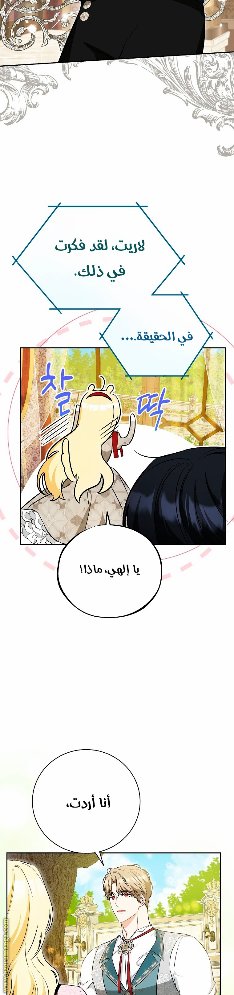 الصفحة 24