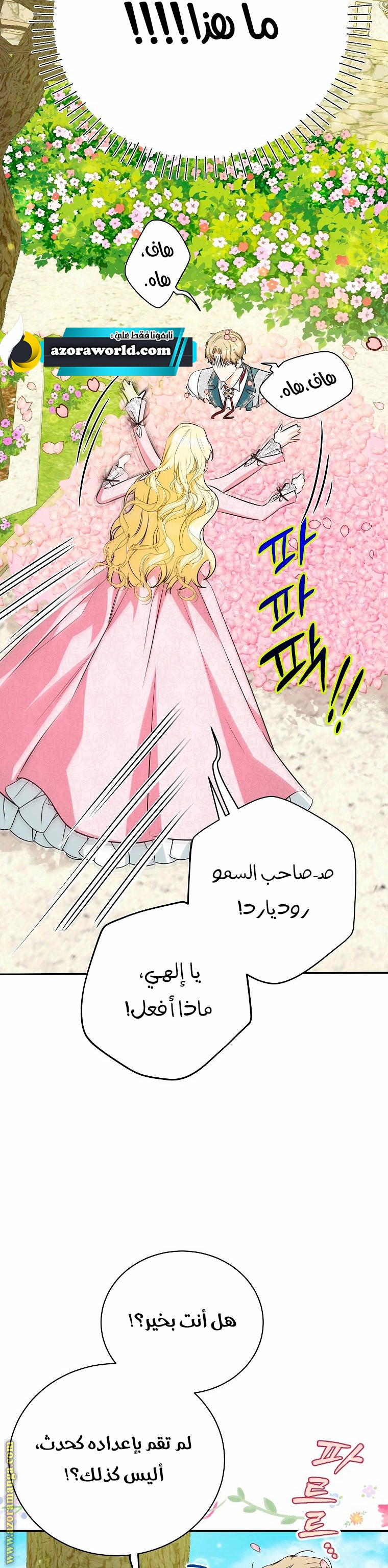 الصفحة 31