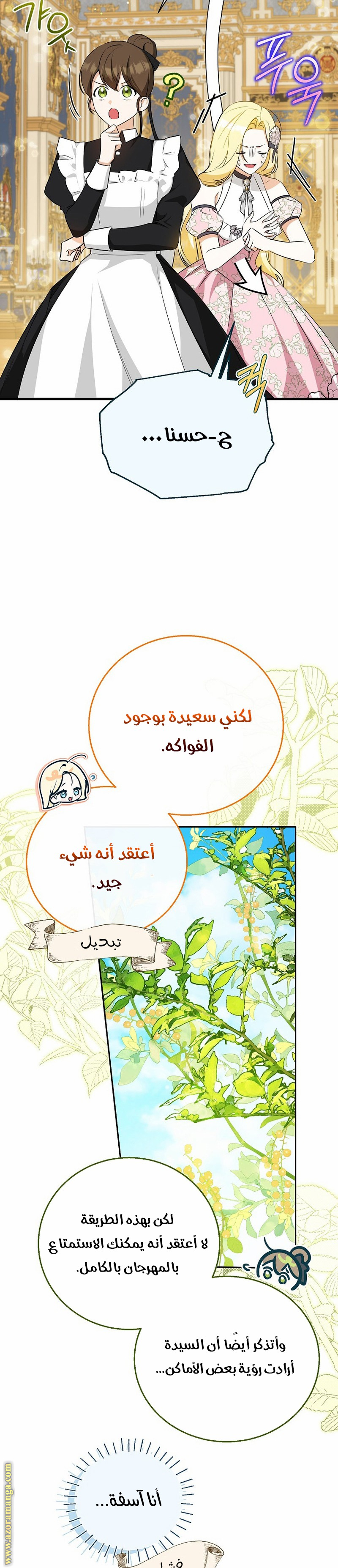 الصفحة 17