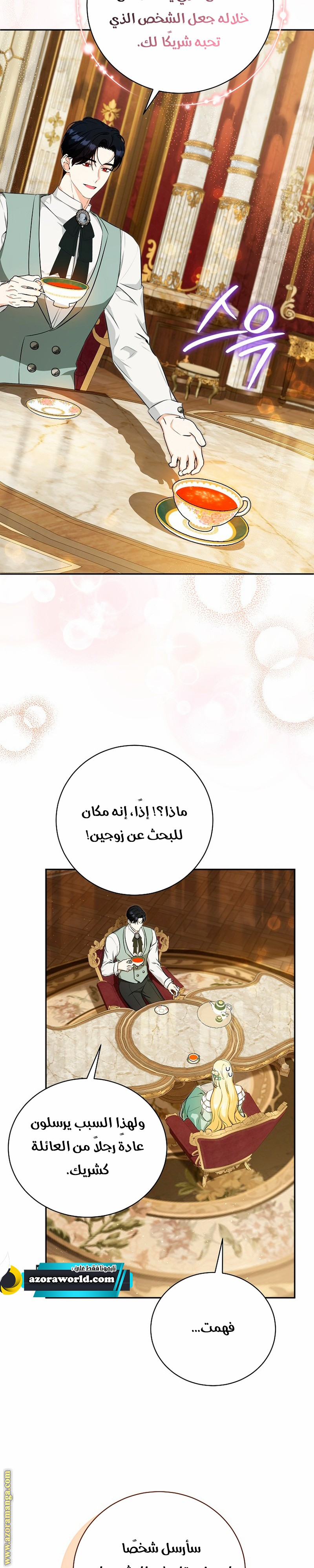 الصفحة 26