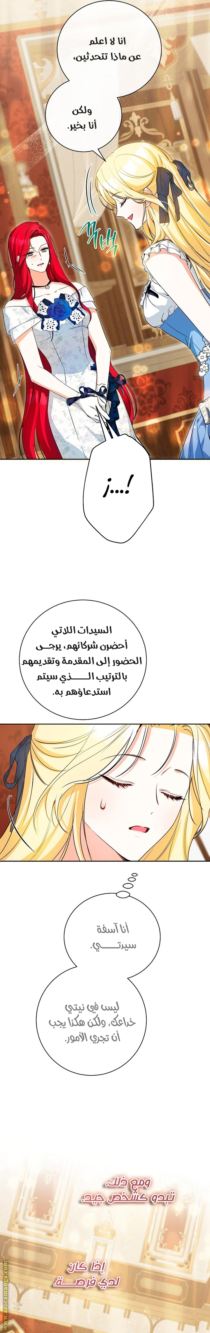 الصفحة 17