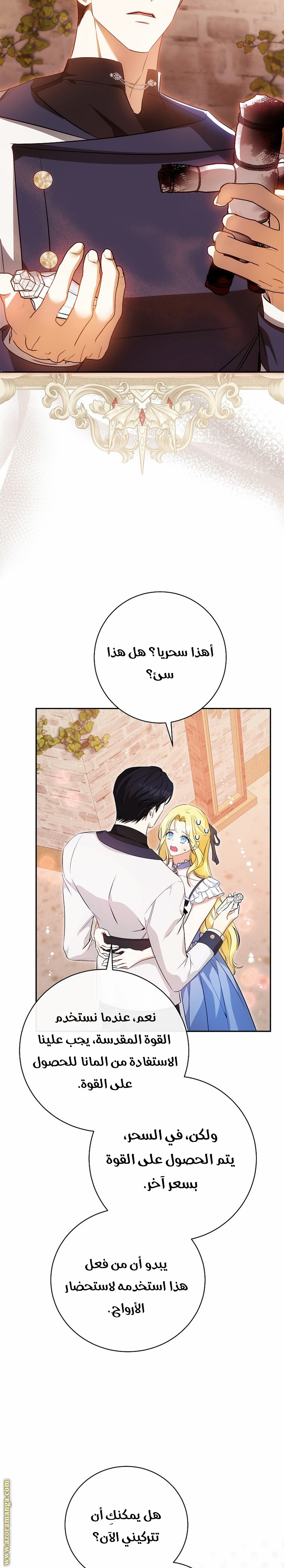 الصفحة 17