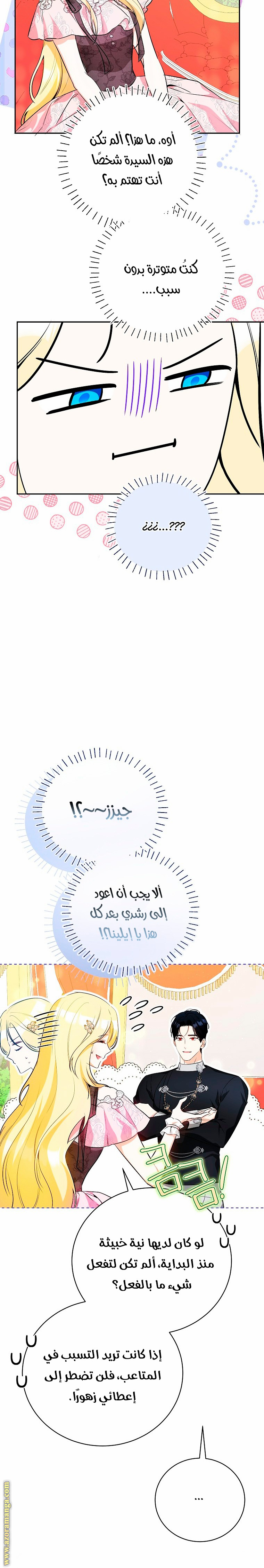 الصفحة 27
