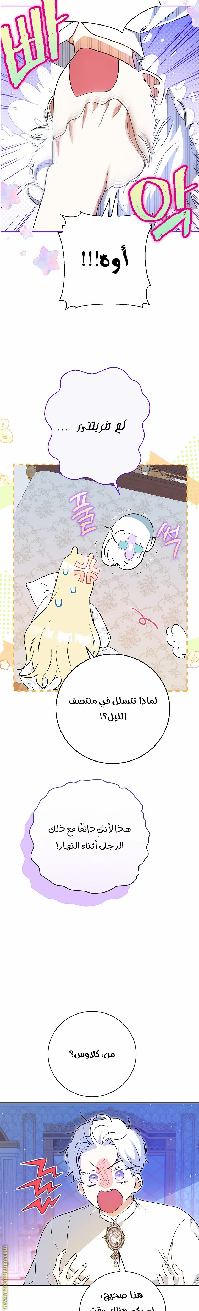 الصفحة 13
