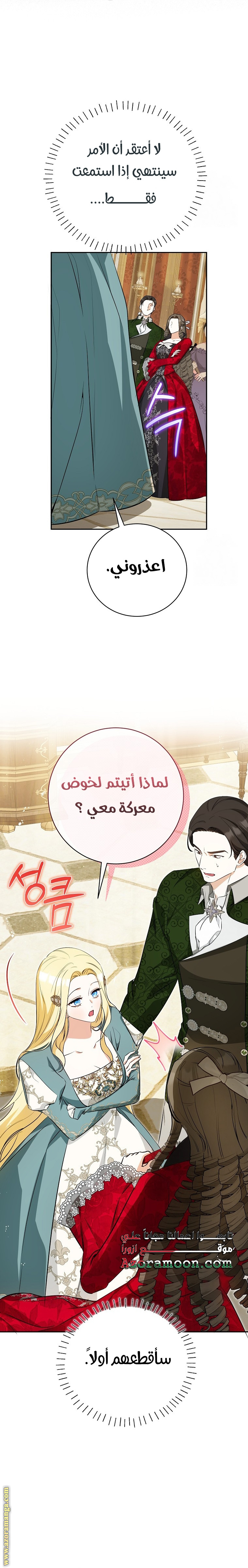 الصفحة 27