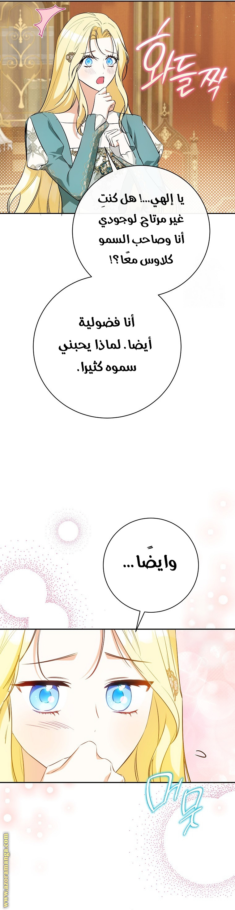 الصفحة 29