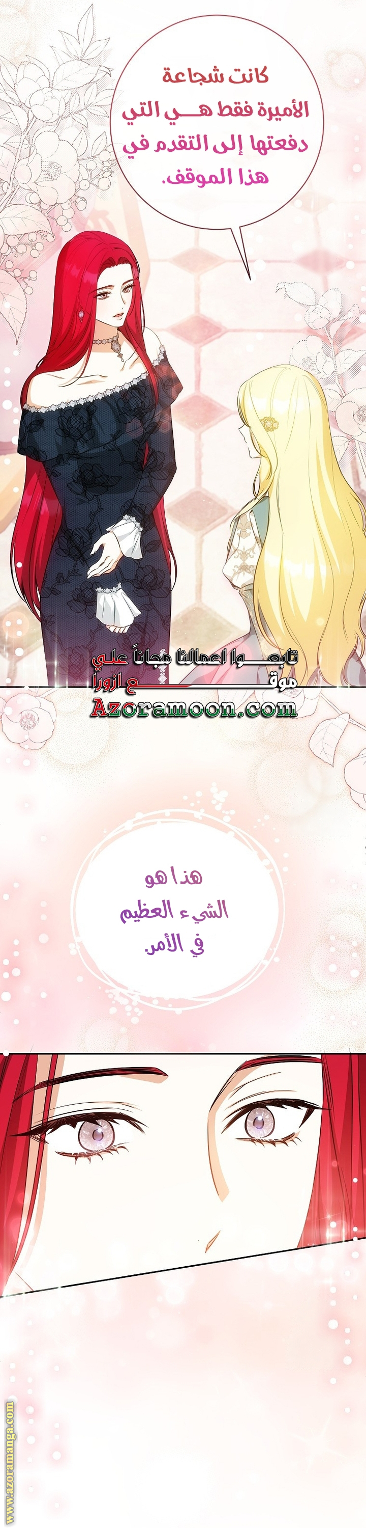 الصفحة 17