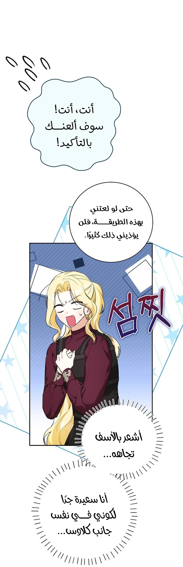 الصفحة 29