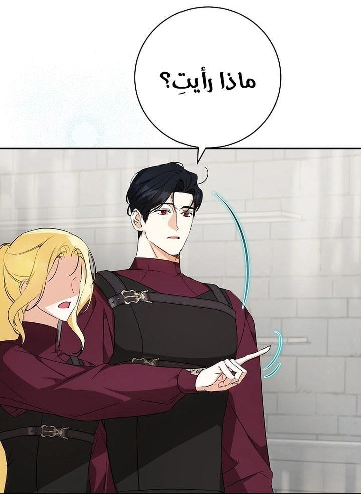 الصفحة 41