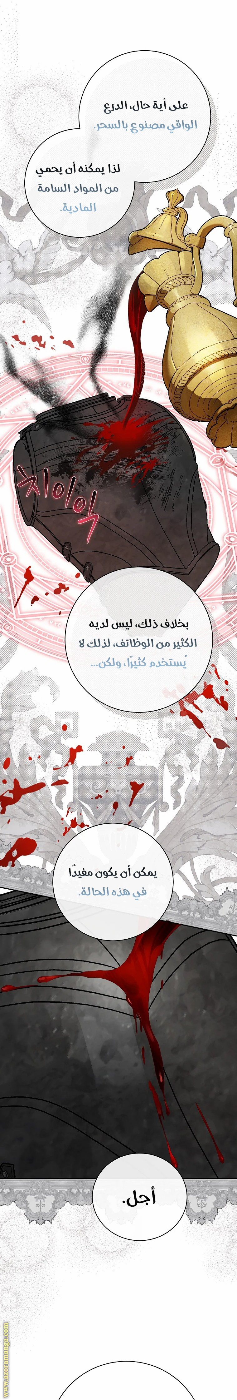 الصفحة 13