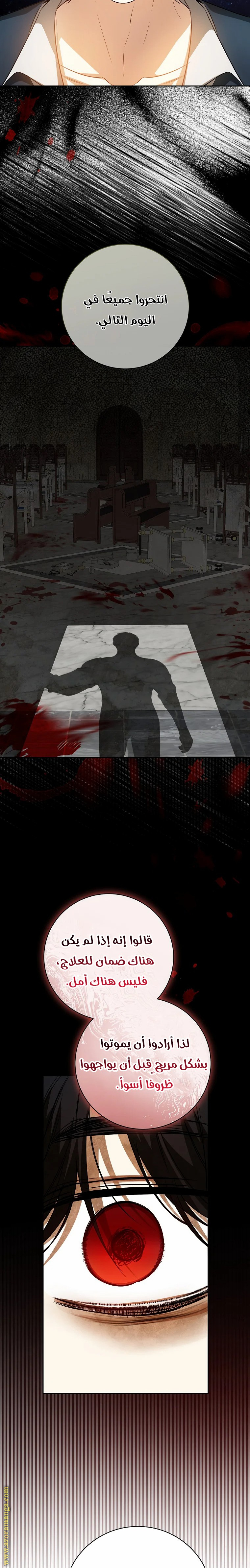 الصفحة 17