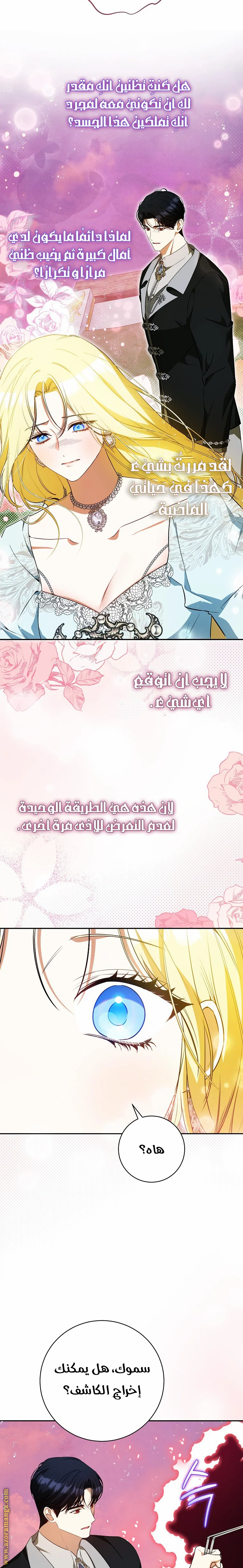 الصفحة 19